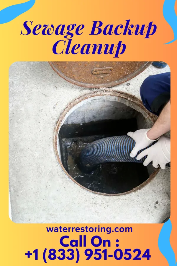 Sewage Backup Cleanup in Fall River, KS